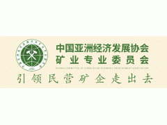 陈必彬：深化＂矿产+金融＂融合创新，共筑一带一路矿业高质量发展新格局